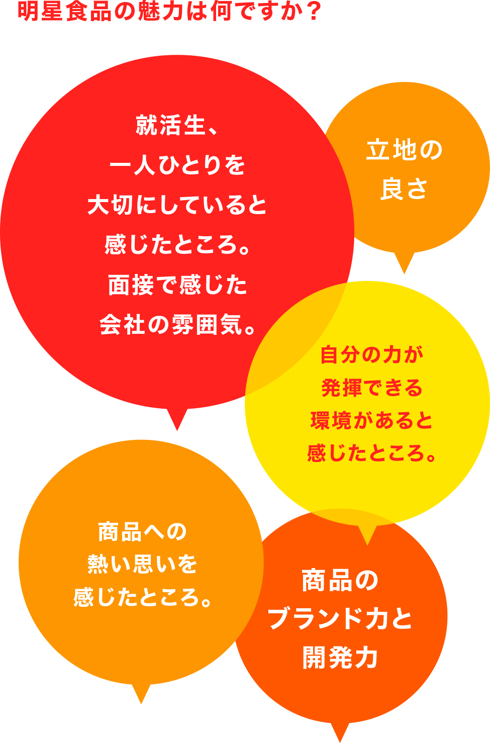 明星食品の魅力は何ですか？