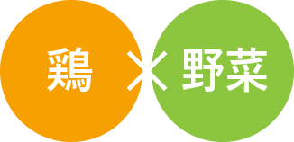 鶏×野菜