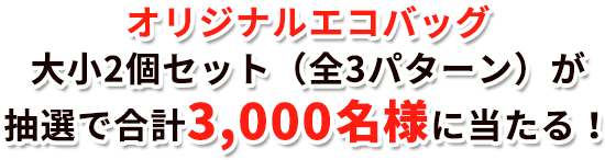 オリジナルエコバッグ大小2個セット(全3パターン)が抽選で合計3,000名様に当たる!
