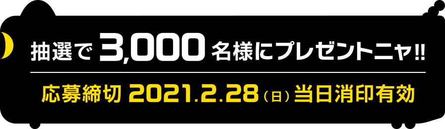 抽選で3,000名様にプレゼントニャ！！2020.11.27（金）キャンペーンスタート！